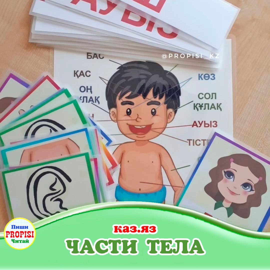 Набор "Части тела" (kz)
